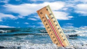Изменение климата ведет к росту населения