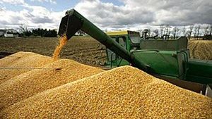 Україна та Іран нарощують торгівлю продукцією сільського господарства