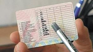 В Україні з'являться права водія нового зразка
