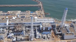Фукусима по прежнему смертельно опасна. Смерть после утечки