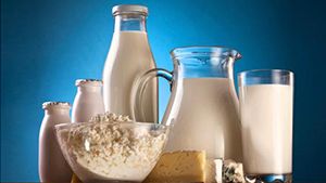 Продукти, які позитивно впливають на пам'ять та логічне мислення