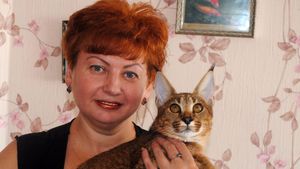 Жительница Барнаула приобрела кошку за 1 миллион рублей