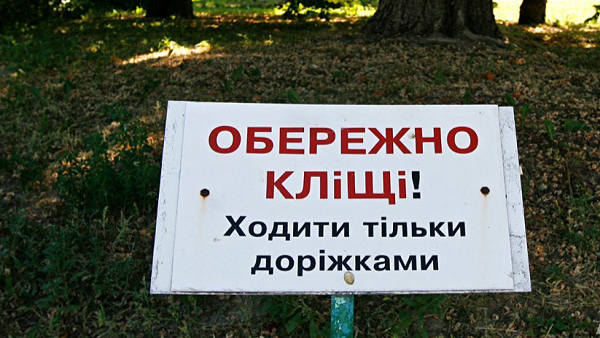 Кліщі: що слід пам’ятати киянам під час прогулянок