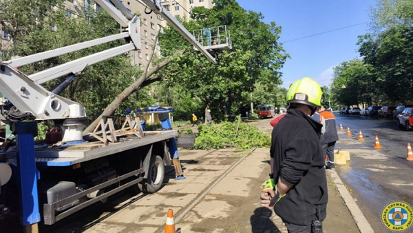 В трех районах Киева ликвидировали последствия непогоды